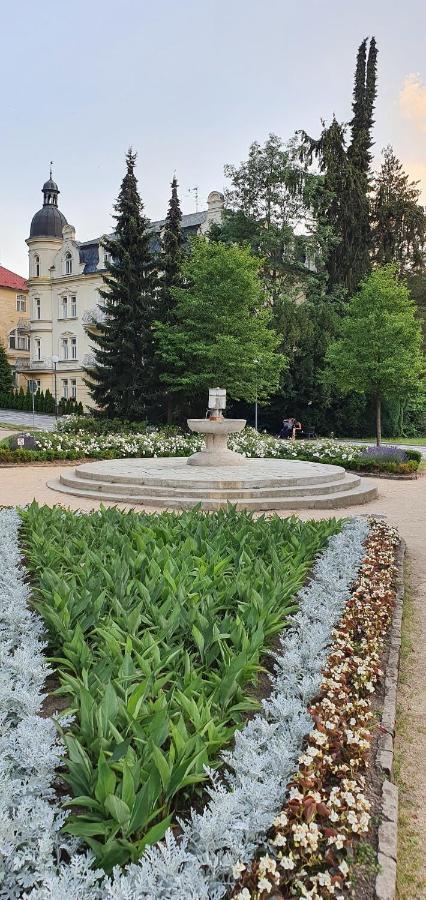 Villa Dagmar Luhacovice Exterior photo